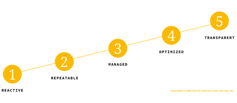 Localization Maturity Model Apex Translations Inc